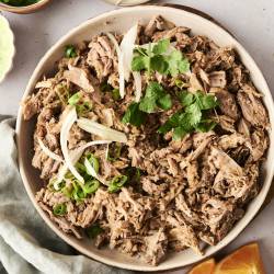 A plate of shredded pork carnitas garnished with sliced onions, green onions, and cilantro, served with tortillas and dipping sauce on the side.